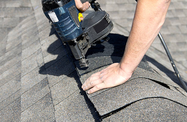 Best Roof Moss and Algae Removal  in North Zanesville, OH